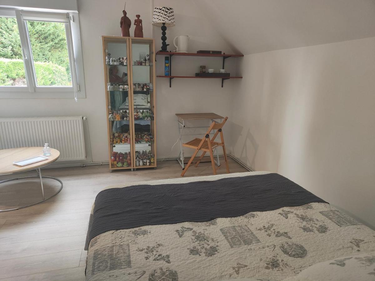 Suite Privee Avec Vue Sur Le Jardin 杜埃 外观 照片
